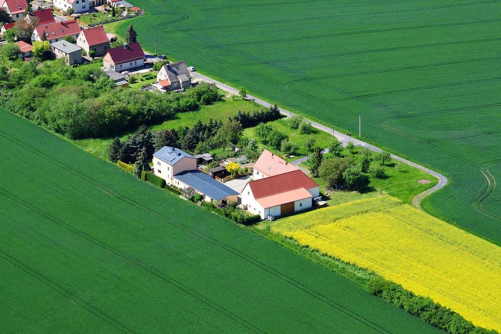 Hotel Gastehaus Schirner Niederau Exteriér fotografie